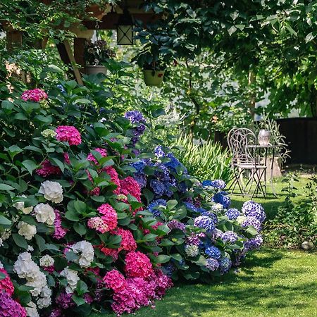 Ursulas Idyll Saltusio Ngoại thất bức ảnh